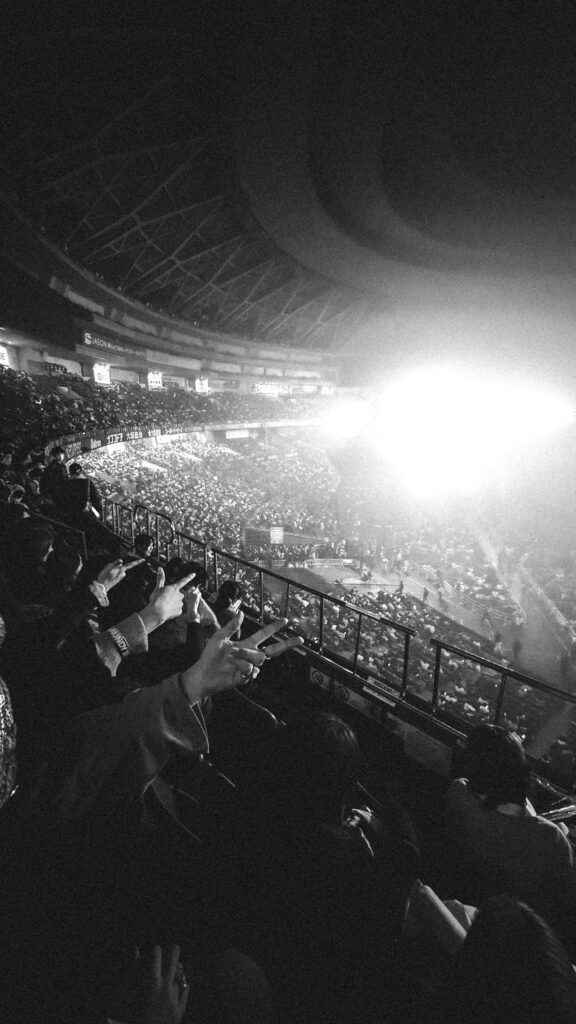 Vast crowd under dramatic stage lighting